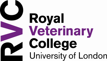 Online CPD
